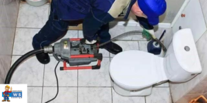 desentupidor de vasos