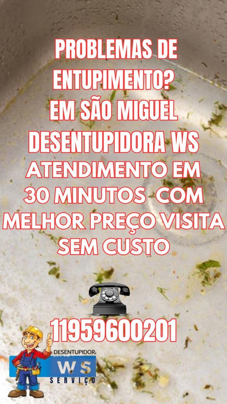 ws desentupidora banner