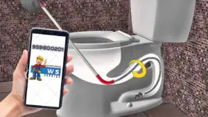 vaso sanitario