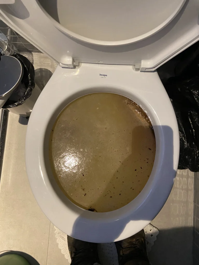 vaso sanitario entupido